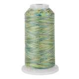 variquilt 6017 polyester variegated thread for quilting