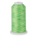 variquilt 6018 polyester variegated thread for quilting