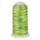 variquilt 6019 polyester variegated thread for quilting