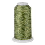 variquilt 6021 polyester variegated thread for quilting
