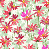 Flower Shop Raspberry
