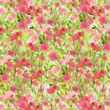 My Happy Place Coral Dianthus